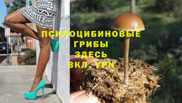mdpv Белокуриха