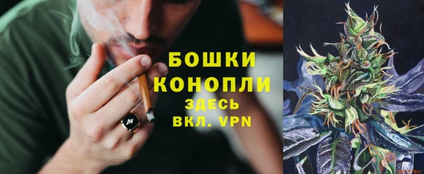mdpv Белокуриха
