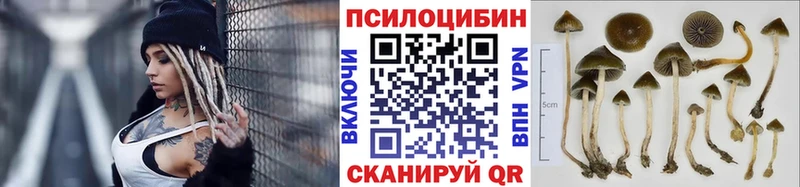 как найти закладки Югорск Галлюциногенные грибы мицелий
